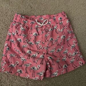 Pink Flamingo Print trunks